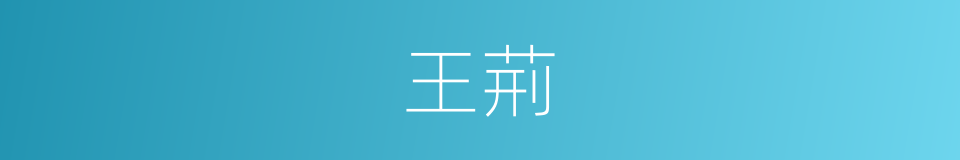 王荊的同義詞
