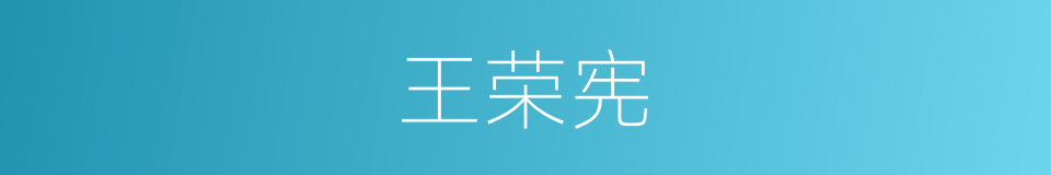 王荣宪的同义词