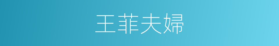 王菲夫婦的同義詞