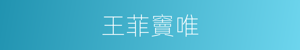 王菲竇唯的同義詞