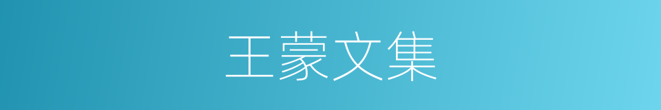 王蒙文集的同义词