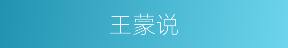 王蒙说的同义词