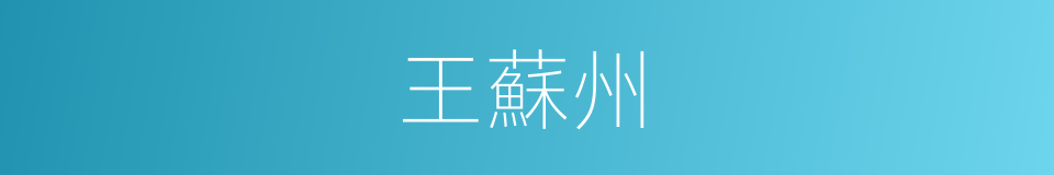 王蘇州的同義詞