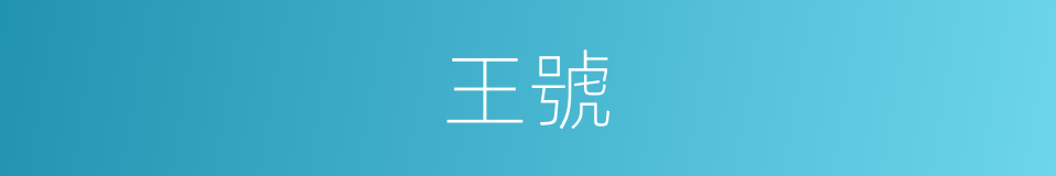 王號的意思