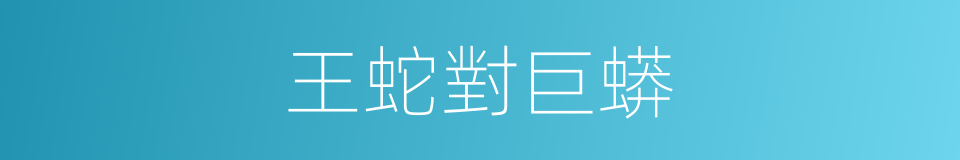 王蛇對巨蟒的同義詞