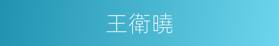 王衛曉的同義詞