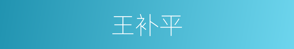 王补平的同义词