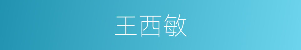 王西敏的同义词