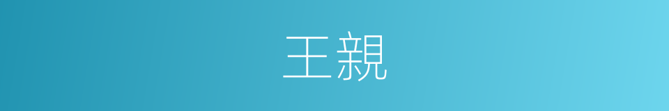 王親的同義詞