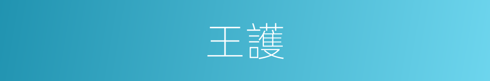 王護的同義詞