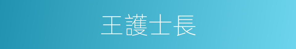 王護士長的同義詞