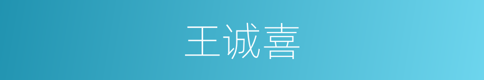 王诚喜的同义词