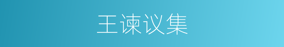 王谏议集的同义词