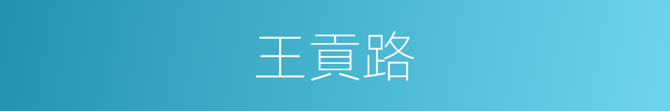 王貢路的同義詞