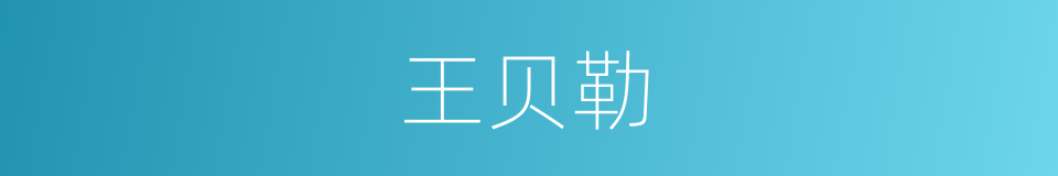 王贝勒的同义词