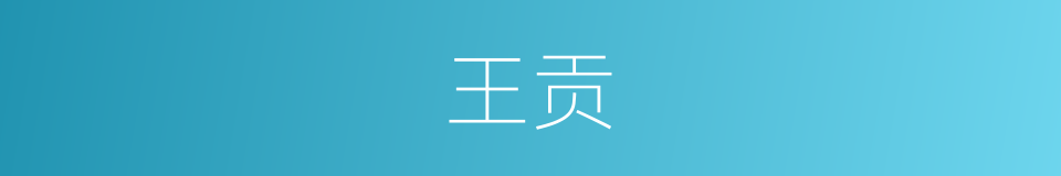 王贡的意思
