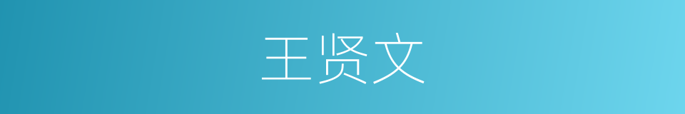 王贤文的同义词