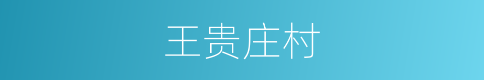 王贵庄村的同义词