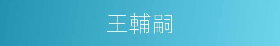 王輔嗣的同義詞