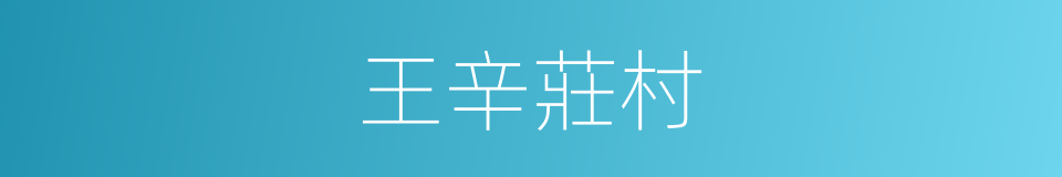 王辛莊村的同義詞