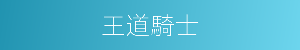 王道騎士的意思