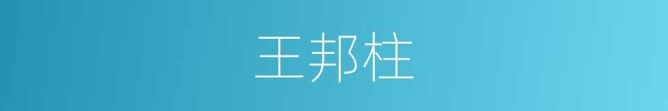 王邦柱的同义词