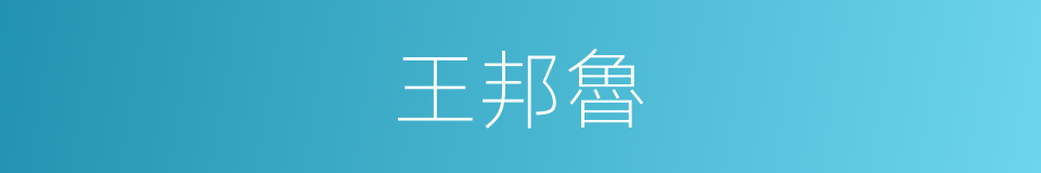 王邦魯的同義詞