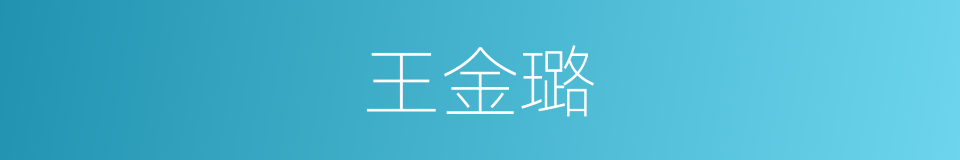 王金璐的同义词