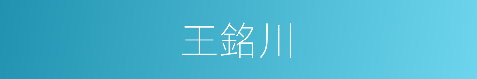 王銘川的同義詞