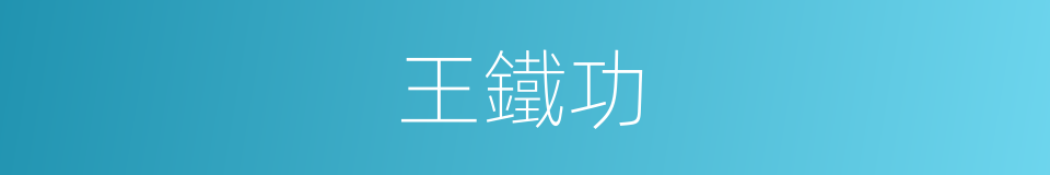 王鐵功的同義詞