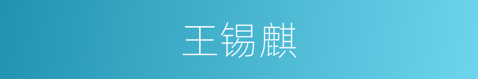 王锡麒的同义词
