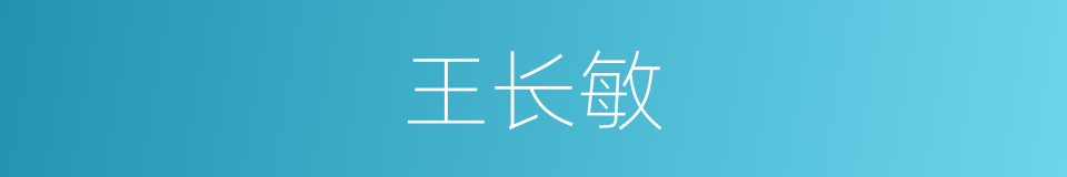 王长敏的同义词