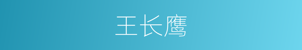 王长鹰的同义词
