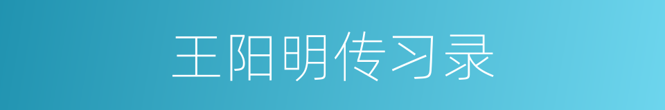 王阳明传习录的同义词