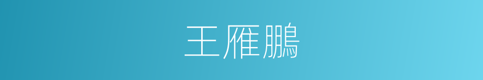 王雁鵬的同義詞