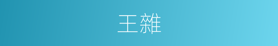 王雜的同義詞
