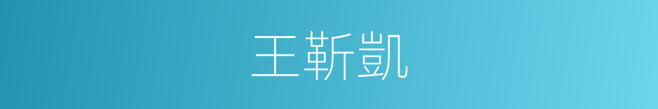 王靳凱的同義詞
