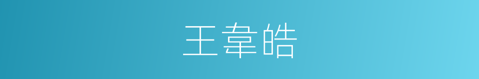 王韋皓的同義詞