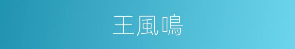 王風鳴的同義詞