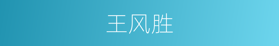 王风胜的同义词