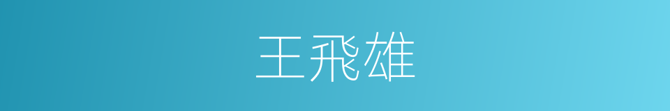 王飛雄的同義詞