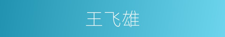 王飞雄的同义词