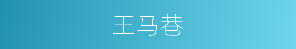 王马巷的同义词