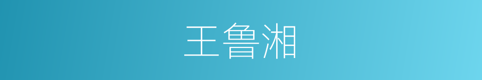 王鲁湘的同义词