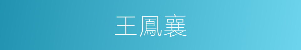 王鳳襄的同義詞