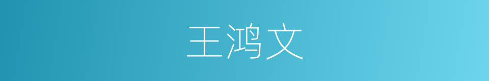 王鸿文的同义词