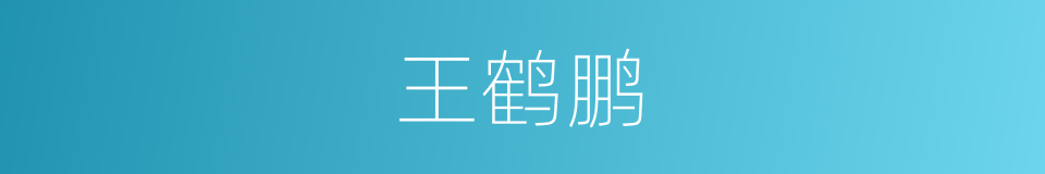 王鹤鹏的同义词