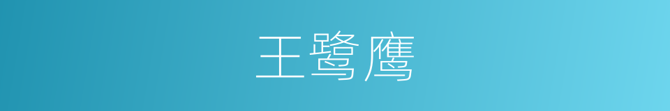 王鹭鹰的同义词