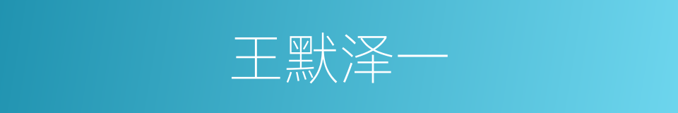 王默泽一的同义词