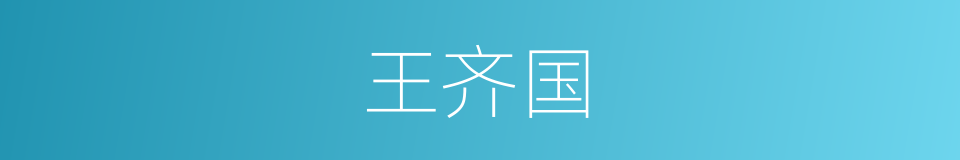 王齐国的同义词